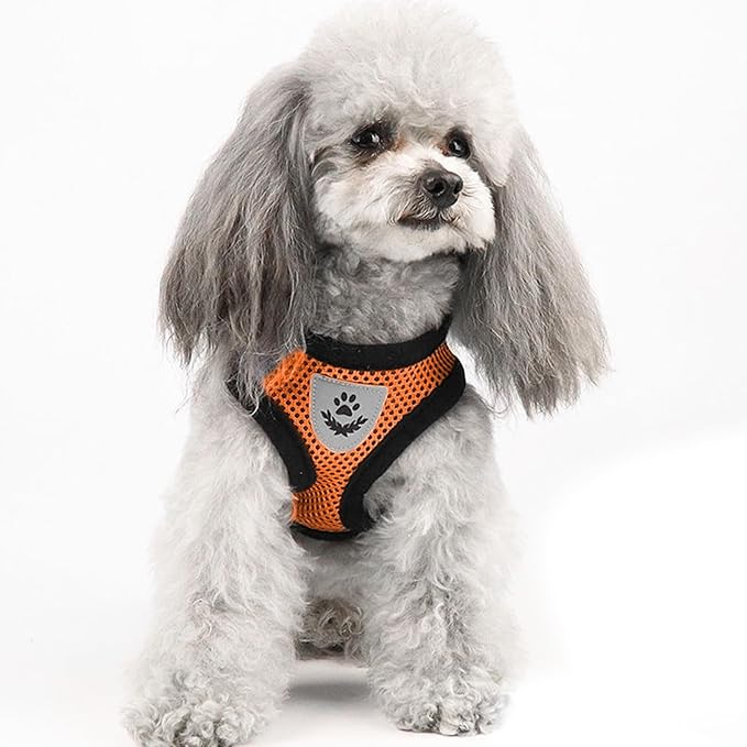 shudyear Summer cat Chest Harness and Leash, Anti-Escape Adjustable Soft mesh cat Leash and Chest Harness Set for All Types of Cats cat Vests (Size L, Orange)