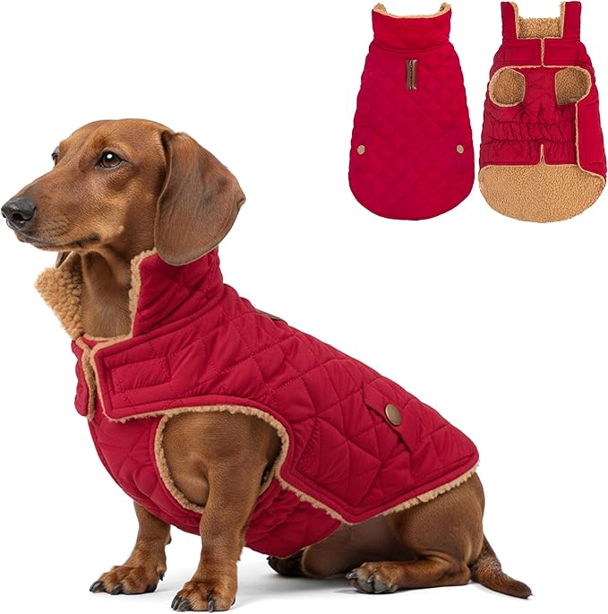 azuza Dog Jacket Waterproof & Windproof Dog Coat for Small Dogs with Thick Fleece, High Collar with Leash Hole, Adjustable Velcro & Elastic Belly, Red M