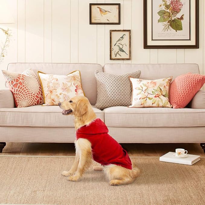 EXPAWLORER Dog Hoodie Fleece Sweater Vest, Hooded Dog Sweatshirt Fall Winter Pet Clothes with Leash Hole, Sleeveless Warm Cozy Puppy Clothing for Cat Small Medium Large Dogs Girl Boy, Red XL
