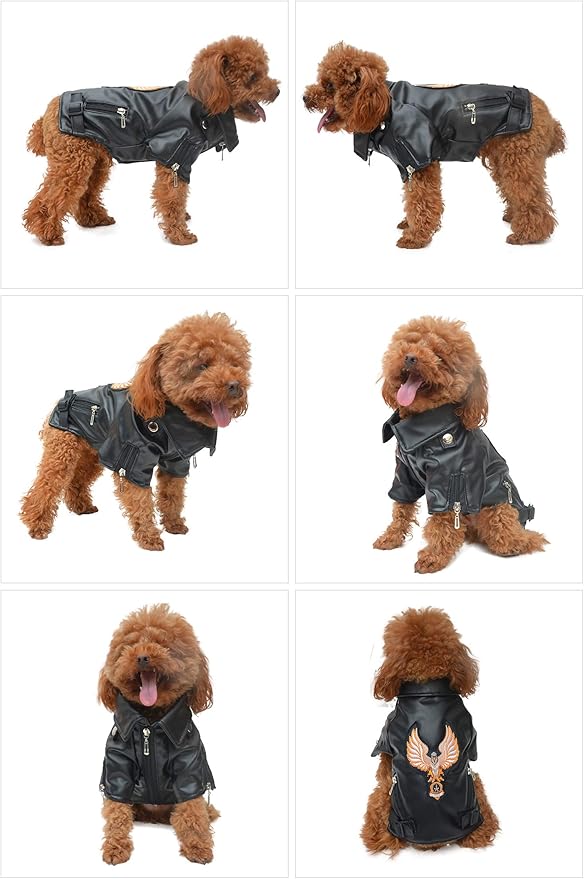 Lovelonglong Cool Dog Leather Jacket, Warm Coats Dogs Windproof Cold Weather Coats for Large Medium Small Dogs with Eagle Embroidery Black L