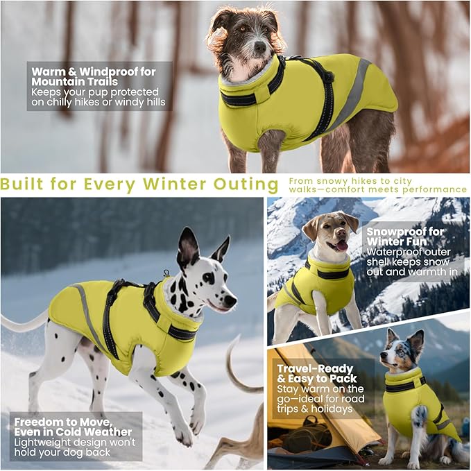 QBLEEV Dog Coat for Medium Dogs, Waterproof Dog Winter Coat with Built-in Harness and D-Ring, Zip Up Pet Cold Weather Coats with Fleece Lined, Warm Snowsuit Gear Vest for Pug Boston Terrier, Green, M