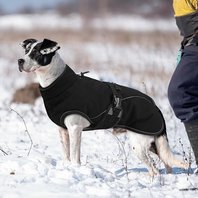 Warm Dog Coat for Winter,Waterproof Jacket with Zipper,Detachable Dog Coat with Adjustable Buckle,Comfortable Jacket for Dogs in Cold and Windy Days.XS Black