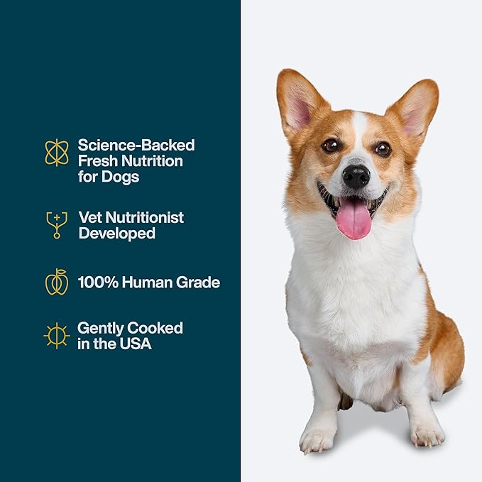 JustFoodForDogs JustFresh Wet Dog Food, Fresh Pet Meals and Toppers with No Preservatives, Resealable Package, Human Grade, Home-Cooked Beef and Chicken Variety, 12 oz - 8 Pack
