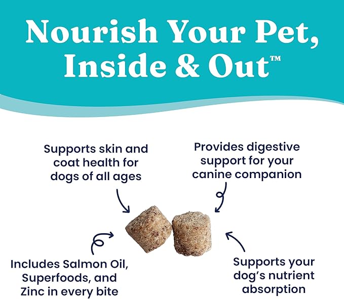 Solid Gold Healthy Dog Treats - Functional Peanut Butter Dog Treats w/Salmon Oil & Superfoods for Skin & Coat + Gut Health - Gluten Free Healthy Training Treat for Dogs of All Ages & Sizes - 5.2oz
