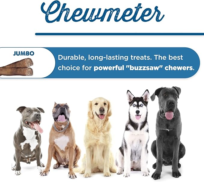 Best Bully Sticks 6 Inch Jumbo Bully Sticks for Dogs - 12 Count (Pack of 1) - Natural Grass-Fed Beef, Single Ingredient, Grain and Rawhide Free Chew, Large Breeds