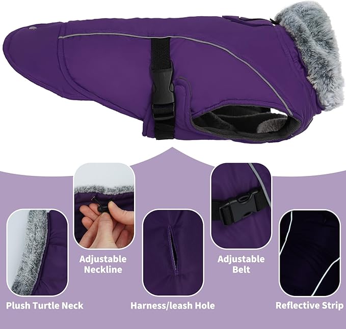 DENTRUN Medium Dog Winter Jacket - Warm Reflective Windproof Coat, Adjustable Neck & Snap Closure, Water Repellent Thick Fleece Vest, Fleece Lined for Beagle Pug, Purple, M