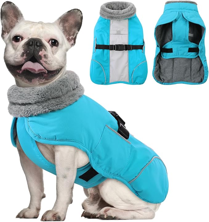Queenmore Dog Winter Jacket, Fleece Lining Pet Vests for Winter, Dog Cold Weather Coats, Dogs Coat for Medium Puppy Waterproof, Pet Snowsuit with Leash Hole, Blue, M