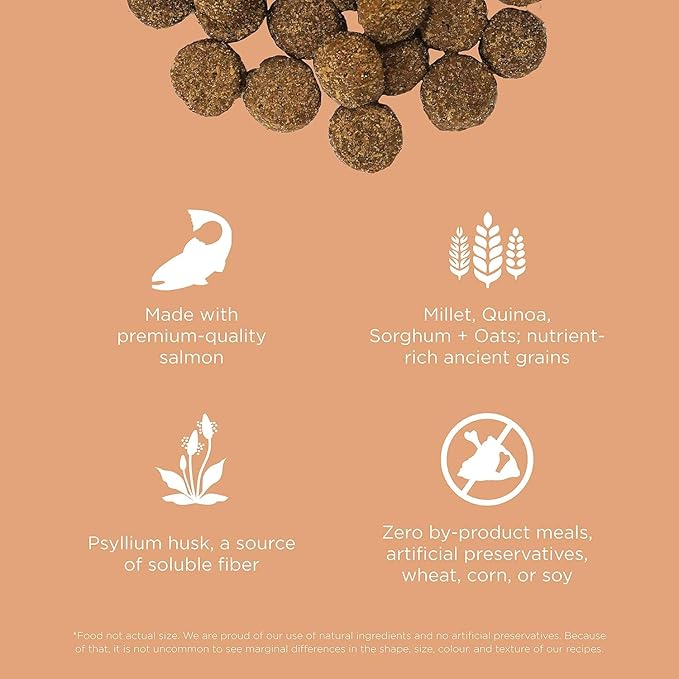 Go! Solutions Digestion + Gut Health, Dry Dog Food, Salmon Recipe with Ancient Grains, 22 lb Bag