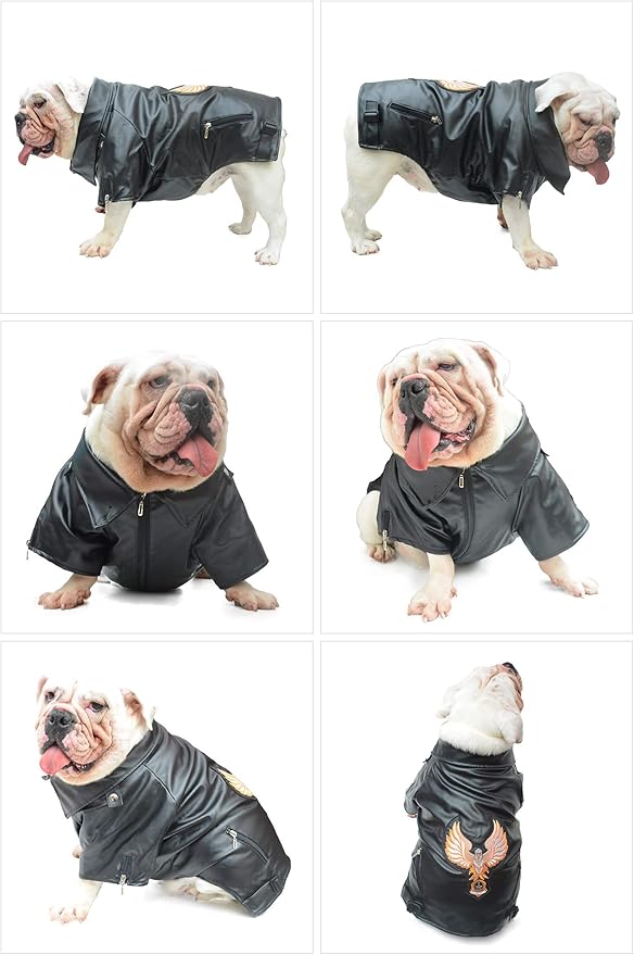 Lovelonglong Cool Dog Leather Jacket, Warm Coats Dogs Windproof Cold Weather Coats for Large Medium Small Dogs with Eagle Embroidery Black B-L