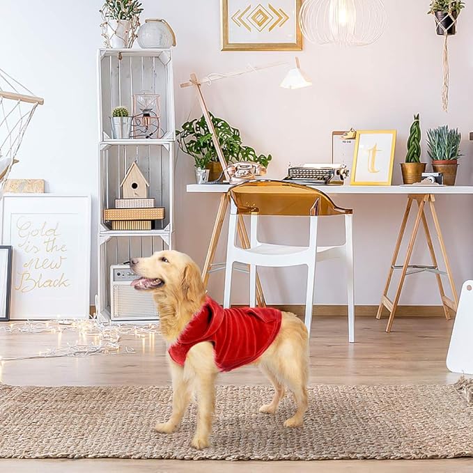 EXPAWLORER Dog Hoodie Fleece Sweater Vest, Hooded Dog Sweatshirt Fall Winter Pet Clothes with Leash Ring, Sleeveless Warm Cozy Puppy Clothing for Cat Small Medium Large Dogs Girl Boy, Red XS