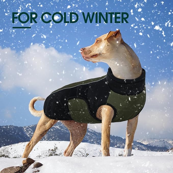 Kuoser Dog Coat for X-Small Dogs | Winter, Waterproof | Keep Tiny Pups Toasty on Chilly Walks! Ultra-Lightweight, Snug Fit - Happy Toy Breeds & No Shivering, Green XS