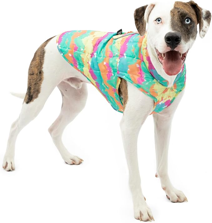 Kurgo Loft Dog Jacket - Reversible Cozy Coat for Outdoor Adventures - Water Resistant - Athletic Fit - Machine Washable Fabric - Reflective Dog Gear - X-Small - Watercolor Stripe