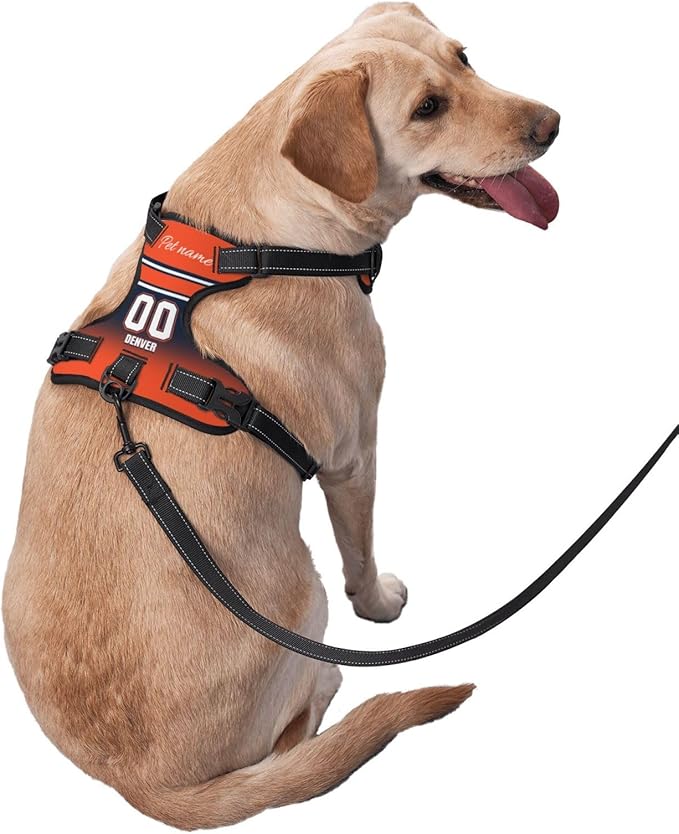 Custom Denver Dog Harness with Reflective Stripes Personalized Name and Number Dog Vest Harness with Pet Traction Rope for Small Medium Large Dog
