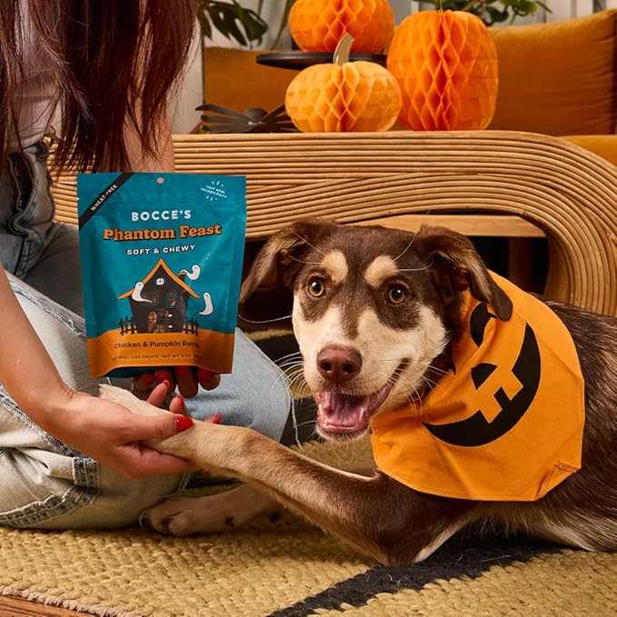 Bocce's Bakery Phantom Feast All-Natural Soft & Chewy Halloween Dog Treats - Wheat-Free Everyday Cookies for Dogs, Made with Real Ingredients & Baked in The USA - Chicken & Pumpkin Flavored (6 oz Bag)