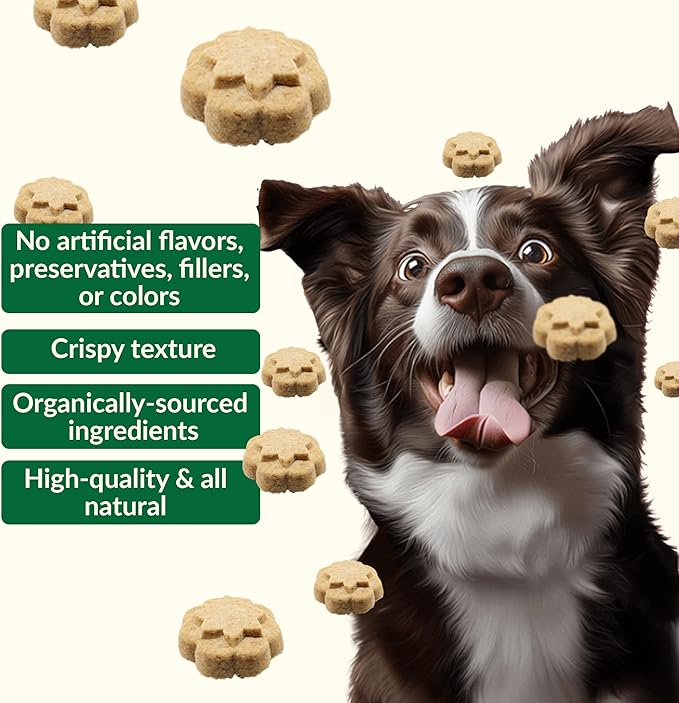 Dig Defence Premium Dog Treats - Honey/Ginger and Carrot/Peanut Butter, Natural Ingredients, Baked Gourmet Snacks for Small & Big Dogs, Healthy Training Treat, 2 Pack