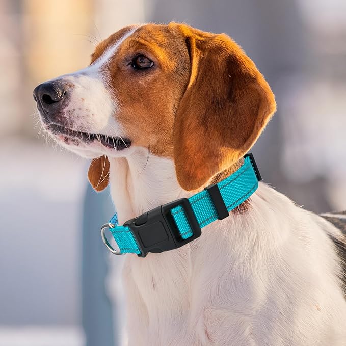 Personalized Embroidered Dog Collar - Custom Hand-Stitched Name & Number, Reflective Adjustable Pet Collar for Small/Medium/Large Dogs & Cats, Durable Nylon with Steel D-Ring (Black, Medium)
