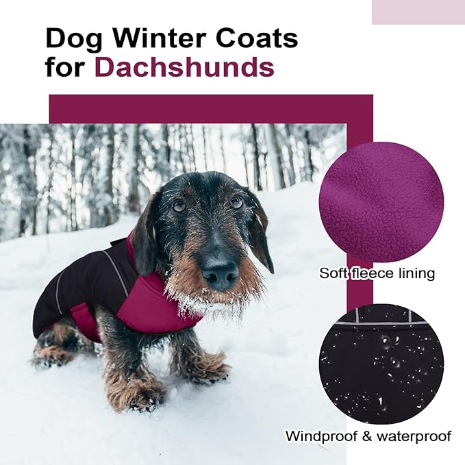 Lelepet Dachshund Coat Warm Dog Winter Coat Waterproof Dog Jacket with Fleece Lining, Reflective Outdoor Dachshund Snowsuit with Leash Hole Adjustable Neckline,Coats for Small Medium Dogs,Purple, S