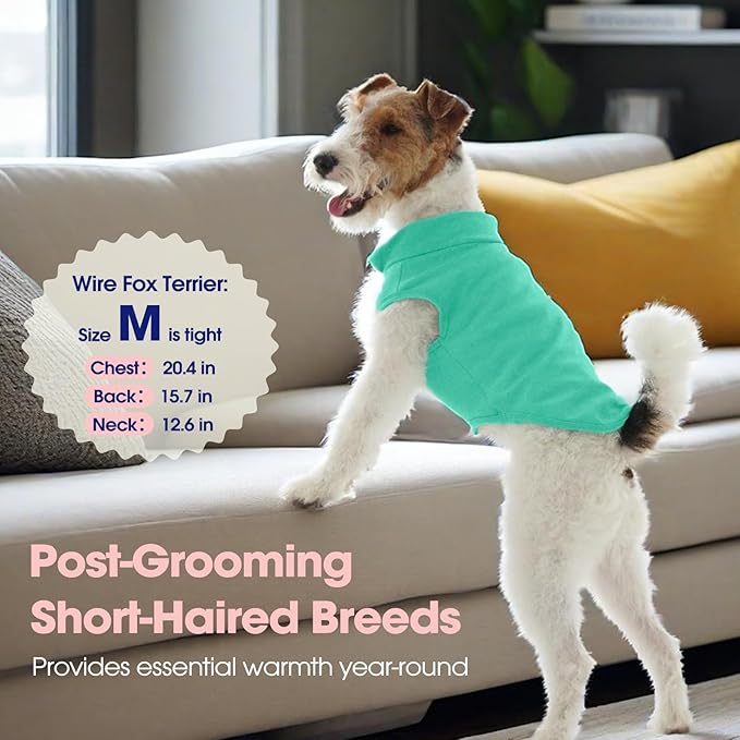 FUAMEY Dog Fleece Vest for Small Dogs,Warm Stretchy Dog Sweatshirts Pullover with Leash Hole Dogs Sweater Soft Pet Turtleneck Cozy Pet Vest Lightweight Sleeveless Cyan XS