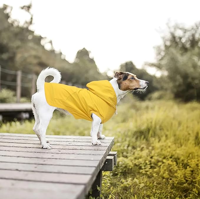 Dog Raincoat rain Jacket Dogs Waterproof fit for Small Medium Breeds Zipper Closure Pocket Storage in Cold Day - Yellow - M