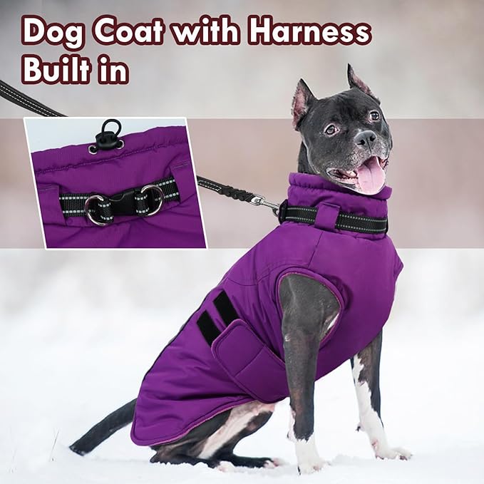 Dog Jackets for Large Dogs, Waterproof Winter Coat with Harness Built-in, Reflective Adjustable Hook&Loop Snow Jacket, Warm Fleece Snowsuit for Dogs Pit Bull Weimaraner Boxer, XXL Purple