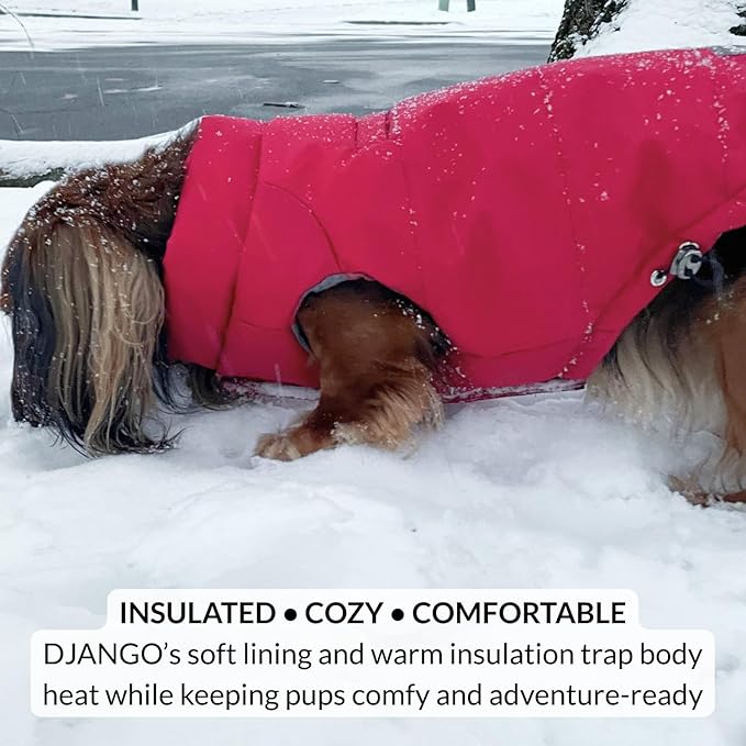 DJANGO Reversible Puffer Dog Coat – Warm Winter Dog Jacket & Water-Repellent Insulated Dog Coat with Harness Hole, Windproof, Adjustable Fit for Small & Medium Dogs, Dachshunds – Lava Red, Medium