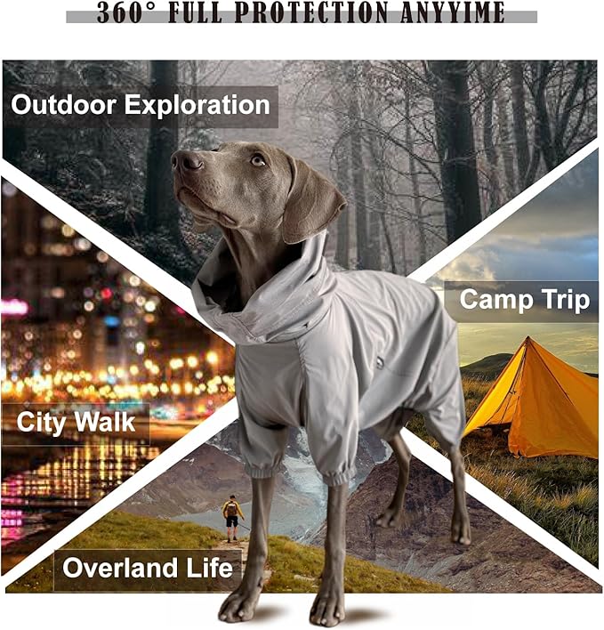 Dog Lightweight Windbreaker, Pet Outdoor Sports Jacket, 0.5 lbs,3 in One, Hooded, Easy on/Off with Collar and Harness, Reflective Piping, Packable, Dog Hiking/Camping, Grey (XX-Large)