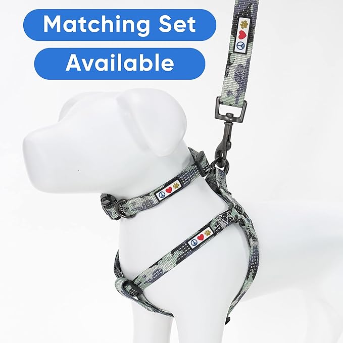 Pawtitas 6 FT Pet Puppy Leash Reflective Dog Leash Comfortable Handle Highly Reflective Threads Heavy Duty Dog Training Leash Available as a 6 ft Medium Dog Leash or 4 ft Dog Leash