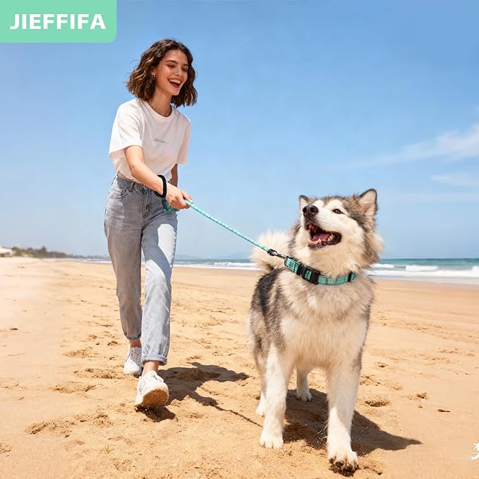 Nylon Dog Leash for Medium Large Dogs, 5-FTReflective Heavy Duty Leash with Comfortable Handle & Poop Bag Dispenser Ring, 1/2 Inch Wide, Secure Reinforcement for Walking (Teal Blue, M)