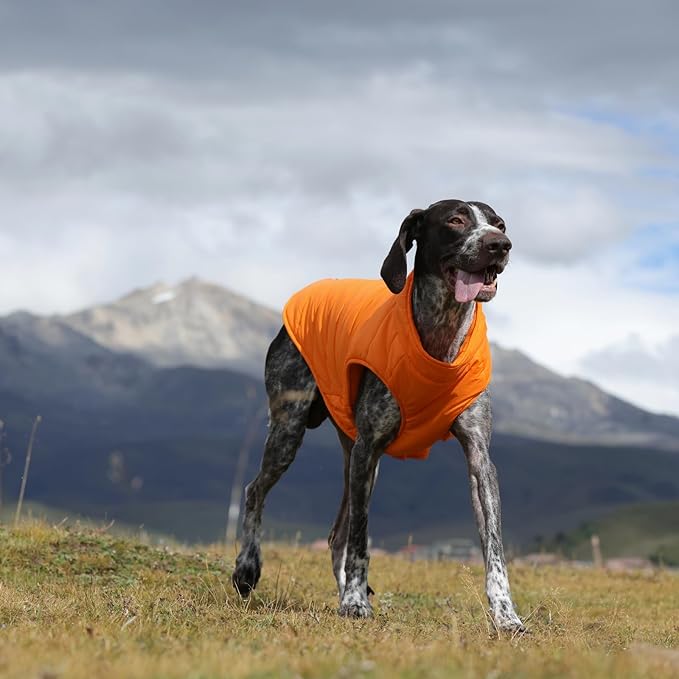 Dog Puffer Vest for Large Dogs, Dog Winter Coats with Back Zipper, Outdoor Warm Dogs Snow Jacket Camping Jacket with Detachable Neck, Doberman, Great Dane, Orange 3XL
