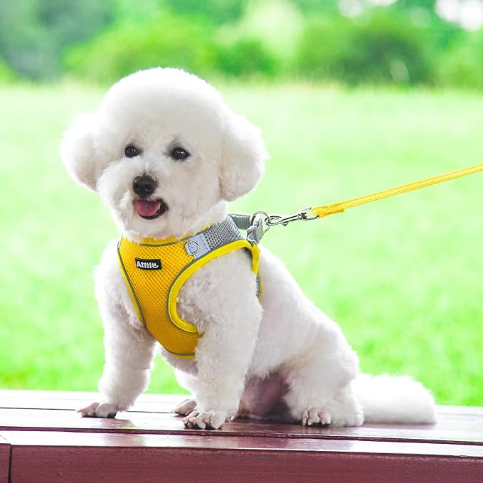 AIITLE Easy Walk Dog Harness and Leash Set - Pet Supply No Pull, Step in Adjustable Pet Harnesses with Padded Vest for Summer, No Choke Over, Easy to Put on Medium Dogs Yellow L