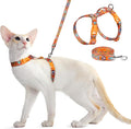 Dooradar Cat Harness and Leash, Escape Proof Adjustable Kitten Vest, Lightweight Soft Pet Straps, Easy Wearing for Small Medium Kitty Safe Walking Travel Control, Orange & Black, S