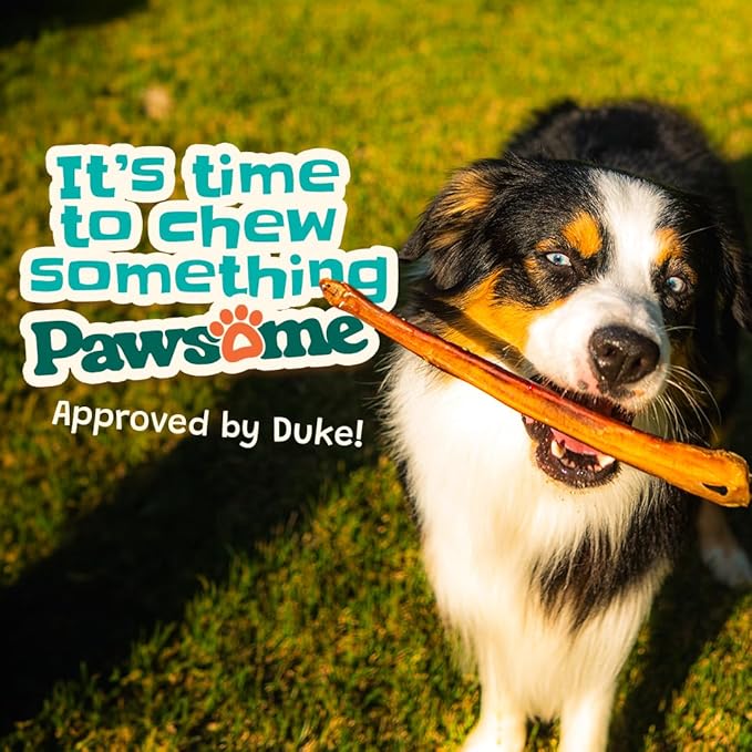 Bully Sticks 6–7" — 10 Count | Natural Single-Ingredient, Long-Lasting Dog Chews; Dental Support Treats for Small, Medium & Large Dogs