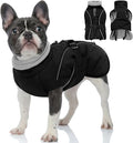 Queenmore Winter Dog Coat Warm Dog Jacket Vest Waterproof Puffer Fleece Snowsuit Adjustable Buckle Leash Hole Reflective Cold Weather Parka for Small Medium Large Dogs Girl Boy Black M