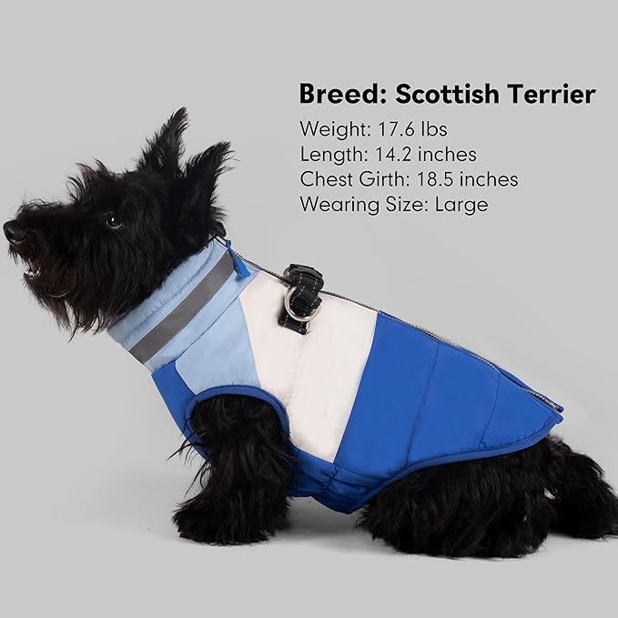 azuza Dog Jacket for Medium Dogs Waterproof Dog Coat with Reflective Strips and Harness Built in Warm Fleece Dogs Winter Coat Windproof with Back Zipper, Blue XL