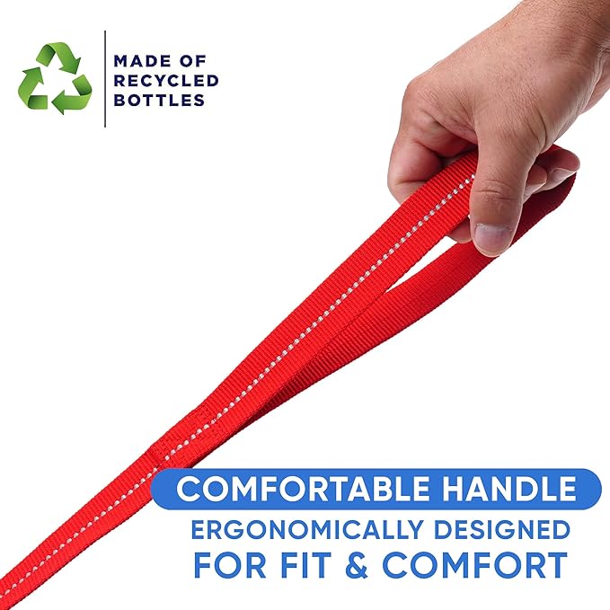 Pawtitas 6 FT Recycled Dog Leash with Reflective Stitched Thread Stitched on Side| Medium Reflective Dog Leash Made from Plastic Bottles Collected from Oceans – Red 6 ft Dog Leash