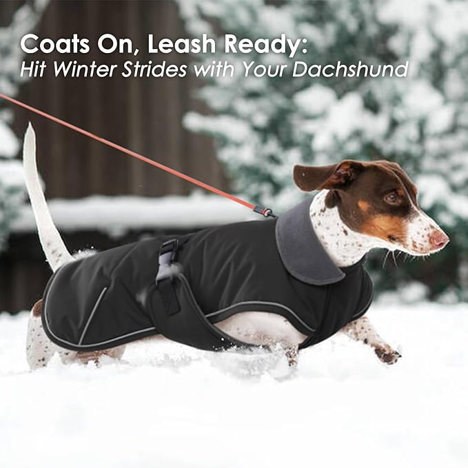 Dachshund Winter Dog Coat - Black, XLarge - Windproof Waterproof with Fleece Lining, Adjustable Buckle Closure, Snowsuit Harness Hole