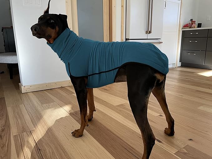 Esobo Warm Pet Clothes Winter Dog Coat Soft Shirt Vest for Small Medium Large Dogs (XX-Small, Lake Blue)