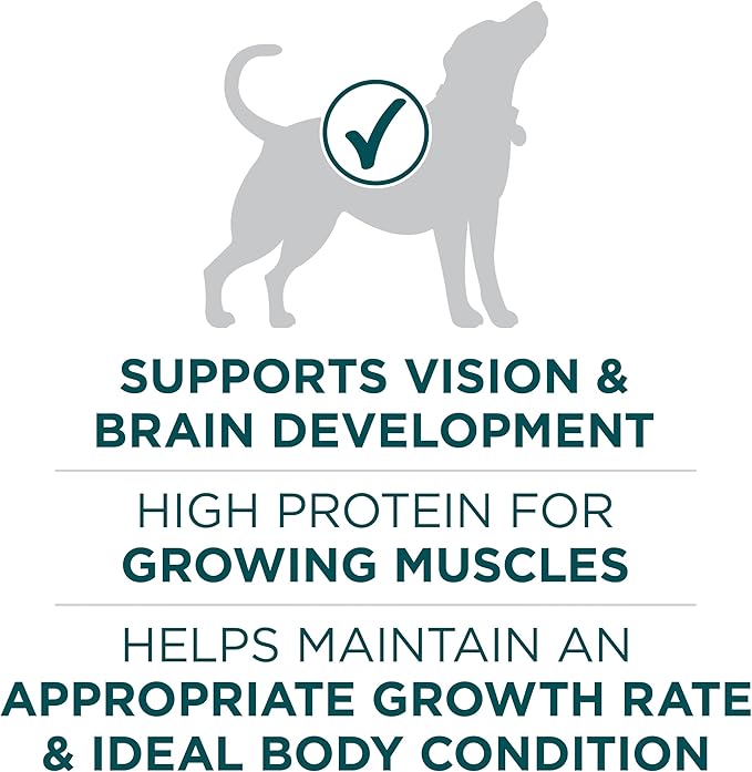 Purina ONE Plus Large Breed Puppy Food Dry Formula - 40 lb. Bag