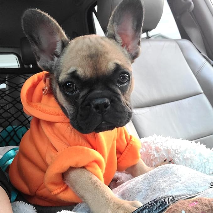 Jecikelon Winter Dog Hoodie Sweatshirts with Pockets Warm Dog Clothes for Small Dogs Chihuahua Coat Clothing Puppy Cat Custume (Orange, Small)