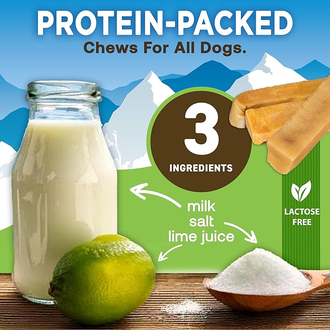 EcoKind Premium Gold Yak Cheese Himalayan Dog Chews, Healthy Dog Treats, Yak Chews for Small Dogs, All Natural, Long Lasting Dog Chew for Aggressive Chewers, High Protein Puppy Treat, Small - 4 Chews