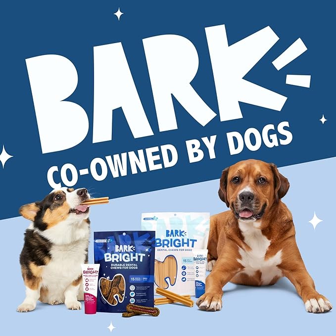 Barkbox Bright Durable Dental Kit, Berry Mint Flavored, 15 Chew Sticks & Toothpaste - Large Breeds