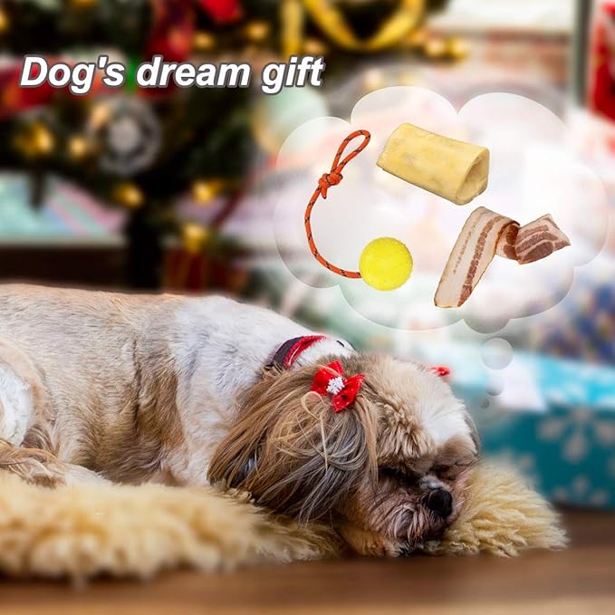 2 Pack Dog Ball, K9 Ball on Rope for Reward, Fetch, Play (7cm)