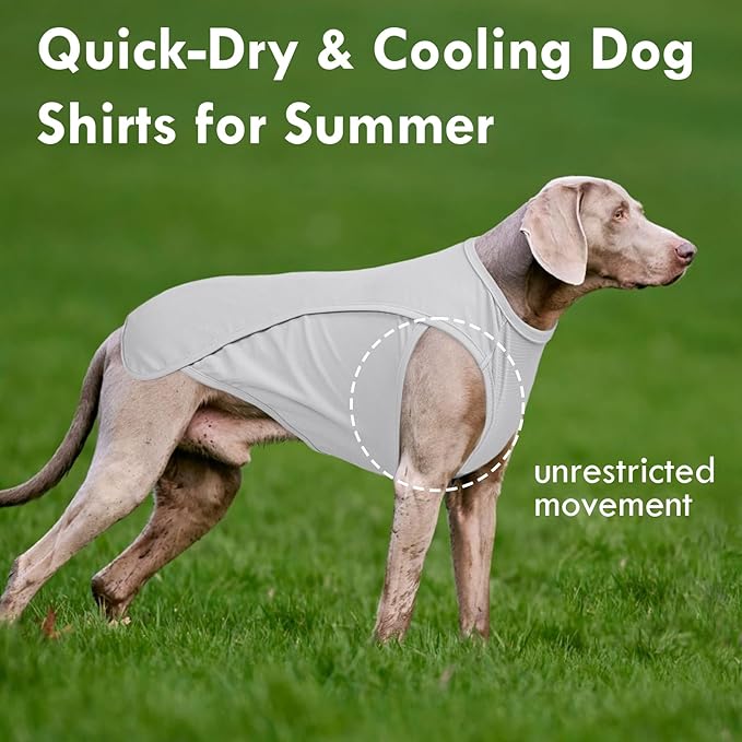 2 Pack Dog T-Shirt Quick Dry, Summer Breathable Cooling Vest, Sun Protection UPF50+ for Sensitive Skin, Stretchy Freedom of Movement for Walk, Blue+Grey, L