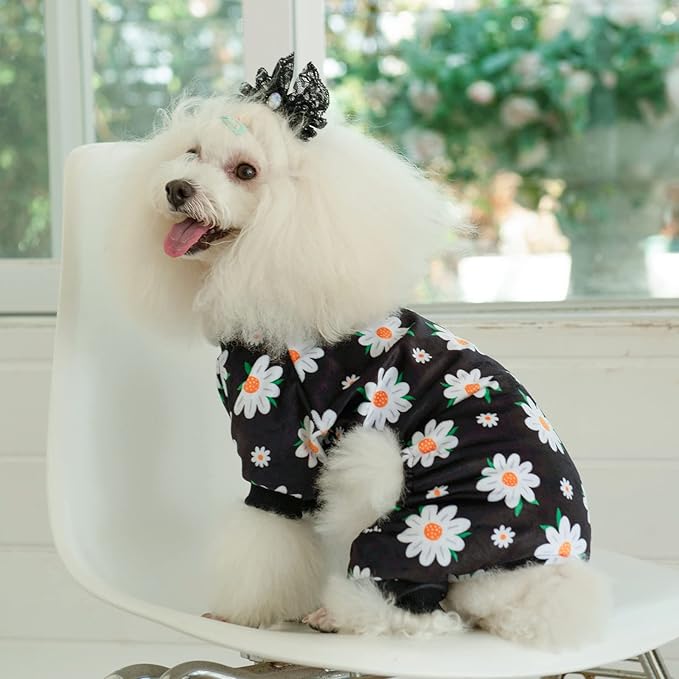 CuteBone Small Dogs Outfit Soft Puppy Onesies Pjs Dog Pajamas Pet Coat Cat Apparel Comfy Doggie Jumpsuit Bodysuit for All Seasons P221XS