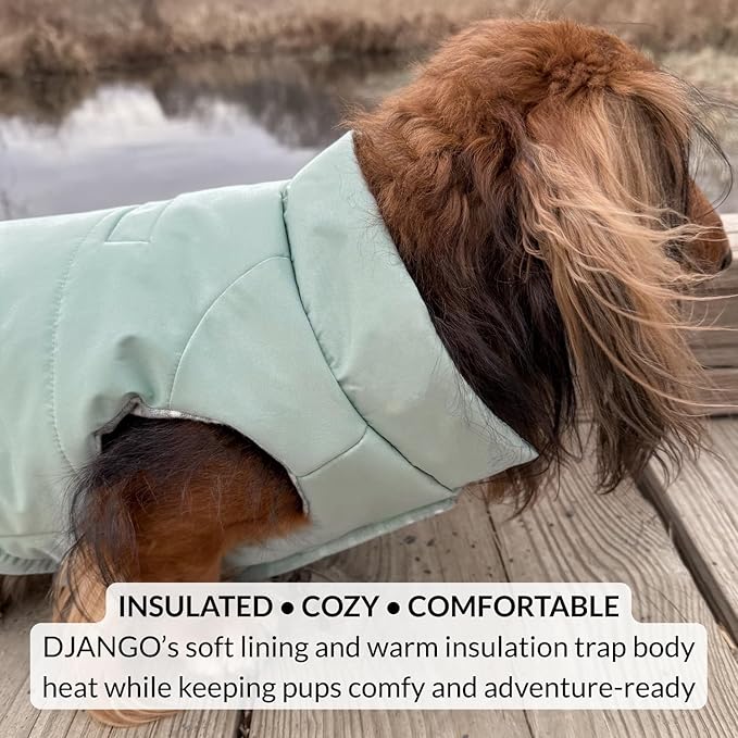 DJANGO Puffer Dog Coat – Warm Winter Dog Jacket & Water-Repellent Insulated Puffer Vest with Striped Lining, Harness Hole, Adjustable Fit for Small & Medium Dogs, Dachshunds – Sea Foam Green, Medium