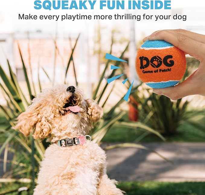 AMA SPORT Squeaky Tennis Balls for Dogs 2.5" Small Medium Dog Tennis Balls for Throwing and Fetching Dog Toys for Training, Exercise, High Bouncing 6 Pack (Multicolor A)