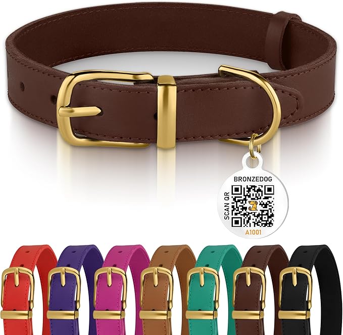 BRONZEDOG Leather Dog Collar with QR ID Tag Basic Pet Collars for Small Mini Dogs Cats Puppies (7-9 Inch (Pack of 1), Dark Brown & Gold Buckle)