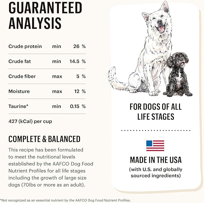 The Honest Kitchen Whole Food Clusters Grain Free Beef Dry Dog Food, 1 lb (Pack of 2)