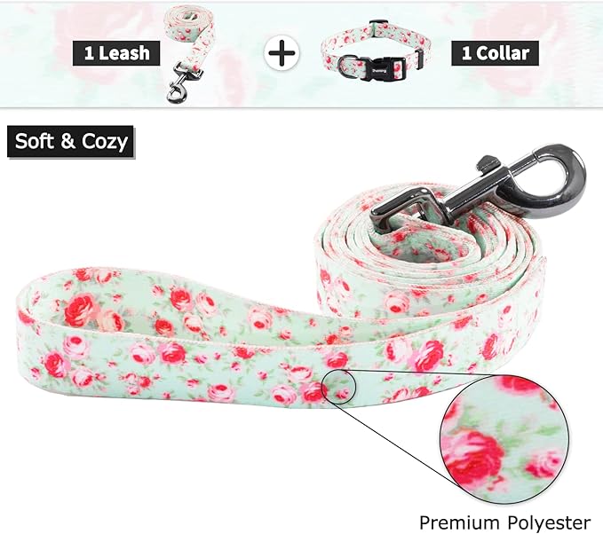 Ihoming Dog Collar and Leash Set for Daily Outdoor Walking Running Training, Floral GreenLake Design for Large Boys Girls Dogs Cats Pets, L-Up to 80LBS