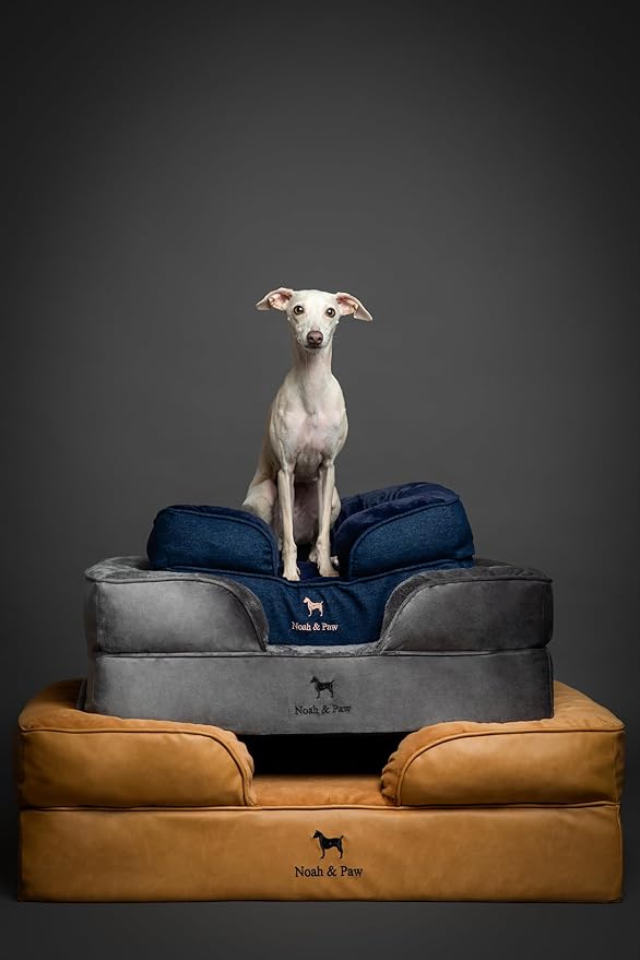 NOAH & PAW Dog Bed, 28x23x11 Inch, Orthopedic Dog Beds for Medium Size Pets, Eggshell Memory Foam Infused with Cooling Gel, Inner Cover, Waterproof, Machine Washable (Velvet Sofa Collection)